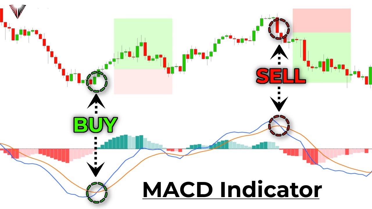 Macd signal deals